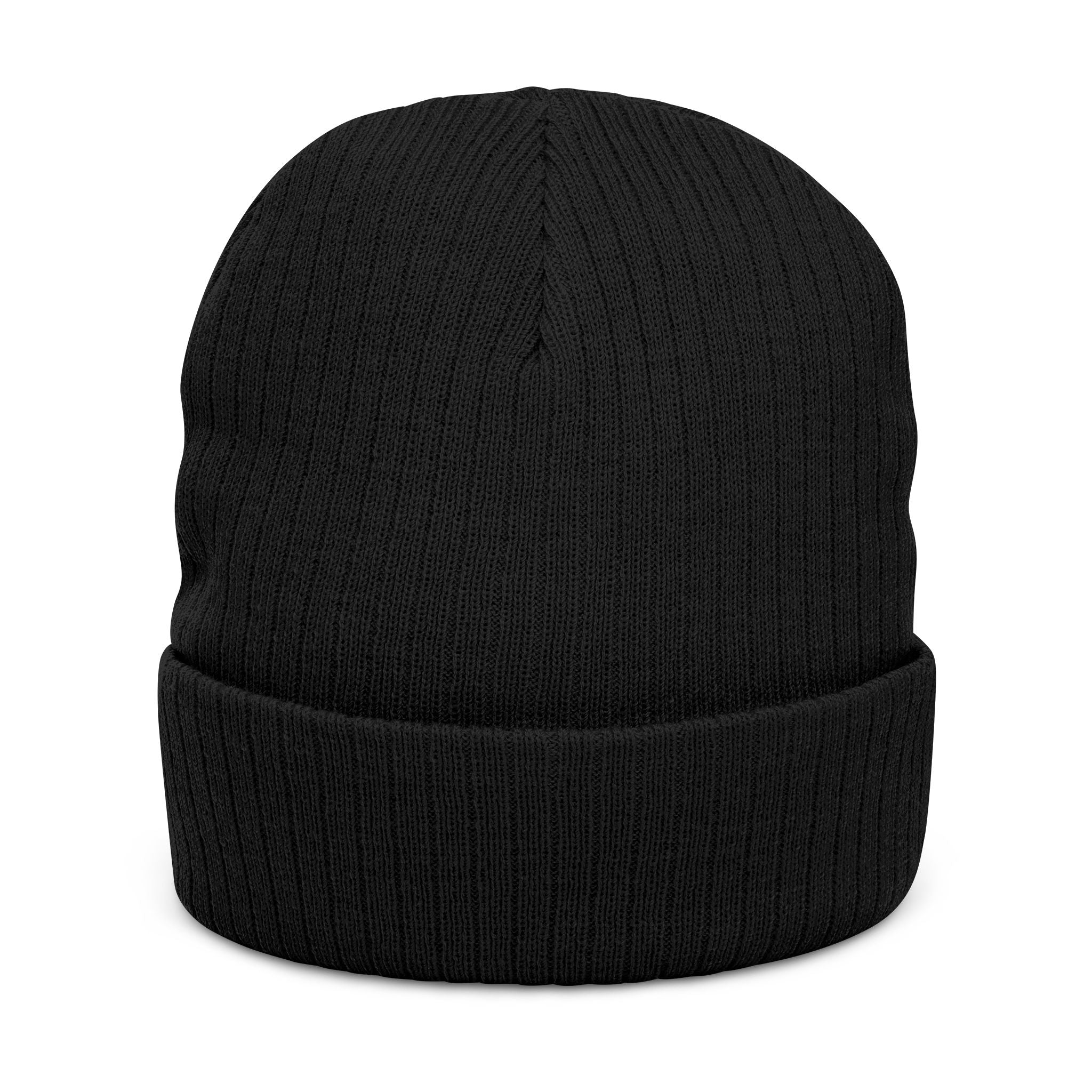Aoimori Beanie